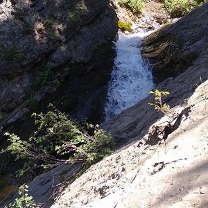 Meet your Posher, Skyler